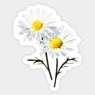 A Couple of Daisies Sticker